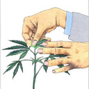 blog logo of growpot420