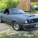 Mustangs And Classic Fords