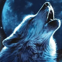 blog logo of Blue Wolf Seeker