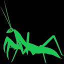 Crooked_Mantis