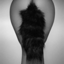 in the fur