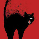 blog logo of O gato preto