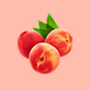 blog logo of peachslimes