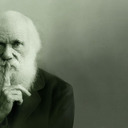 blog logo of DarwinsConfessional