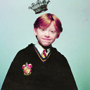 blog logo of -Weasley Is Our King-