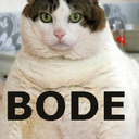 blog logo of Absolutely Bode Cats