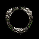 The Elder Scrolls Online