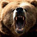 blog logo of Igor Grizzly Yakovlev