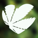 blog logo of WeedPornDaily Tumblr