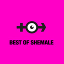 Best of Shemale