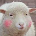 blog logo of The Fluffiest Talking Sheep