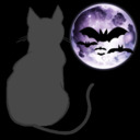 blog logo of dreaming shadowy kitten dreams