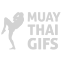 Muay Thai Gifs