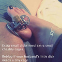 blog logo of Mistress Wife cuckolds cubby