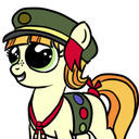 blog logo of ASK A FILLY SCOUT