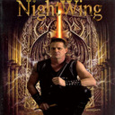 blog logo of masternightwing