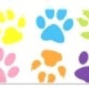 blog logo of LittlePetsCorner