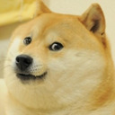 blog logo of Doge