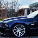 blog logo of 5.0 Stang