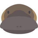 blog logo of Please Ignore This Platypus