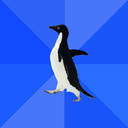 Socially Awkward Penguin.