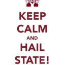 blog logo of hailstate83