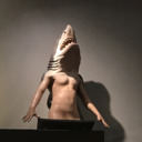 shark man what is your shark plan