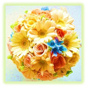 blog logo of RainbowFlowersGarden