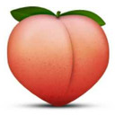 blog logo of All Forbidden Fruits