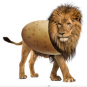 lionpotato