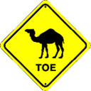 CAMEL TOE STORE