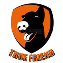 blog logo of A dog is a true freind!