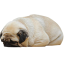 blog logo of the one and only puppy loaf