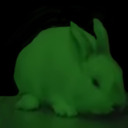 blog logo of A Rabbit, John!