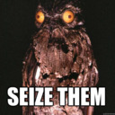 Potoo Lord