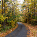 blog logo of Cabins and Quiet Places