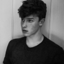 blog logo of shawn mendes