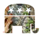 blog logo of The Country Conservative