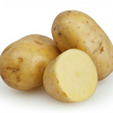 blog logo of PotatoLord-X