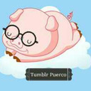  Tumblr Puerco