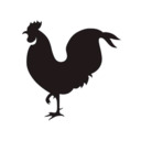 blog logo of Black Rooster