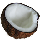 blog logo of All About Coconut Oil