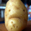 blog logo of The Lonely Potato