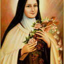 A Catholic Rose