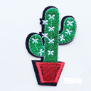 blog logo of A Cactus Life