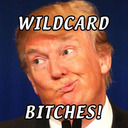 blog logo of WILDCARD BITCHES!!!