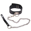 blog logo of collar and leash