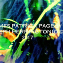 blog logo of ART & WRITINGS stephherringtonio@gmail.com