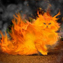 blog logo of Never Doubt Flame Cat