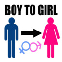  Boy To Girl